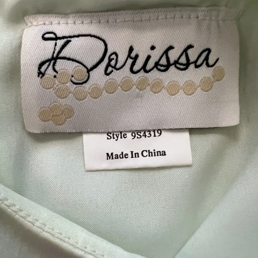 Dorissa Formal Special Occasion‎ Dress Sz. 6X